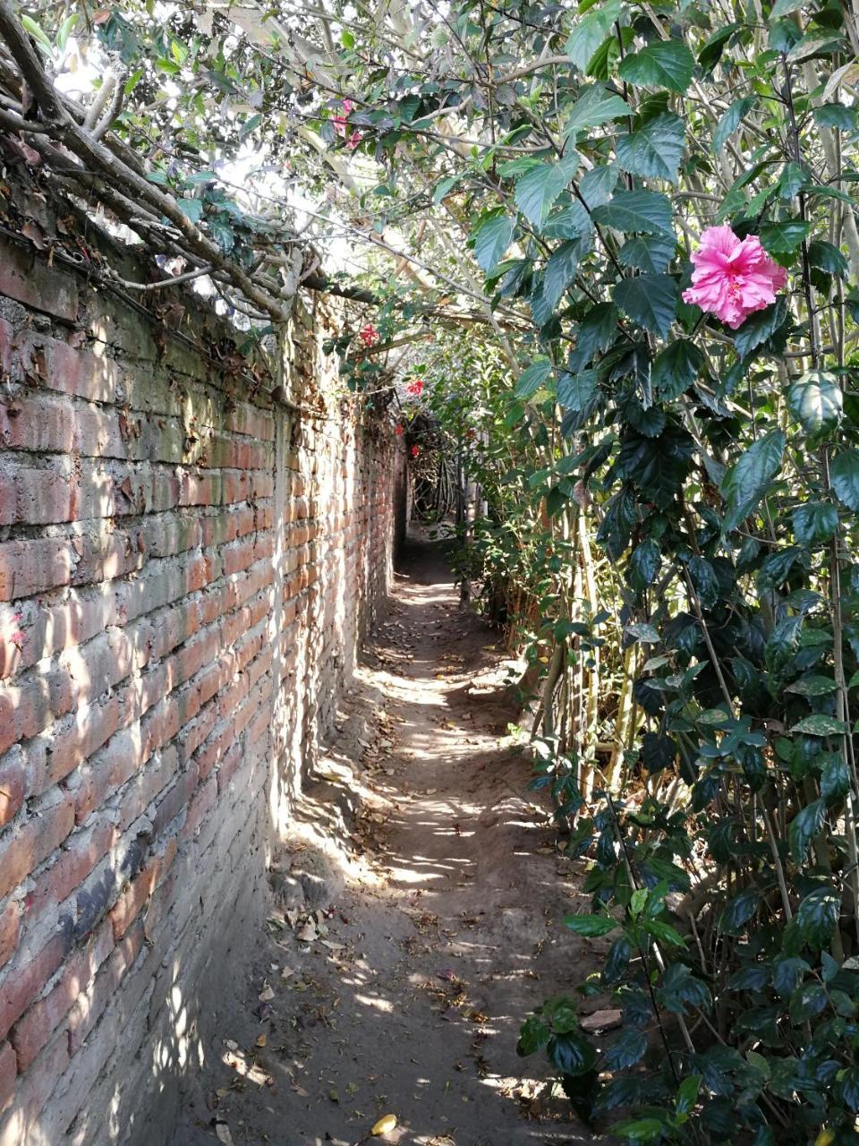 Chapelet Hostal Tababela Dış mekan fotoğraf
